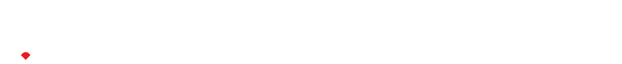 Caracal Creative Horizontal White Logo